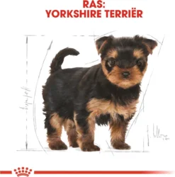Royal Canin Yorkshire Terrier Junior 1.5 KG 12 Royal Canin Yorkshire Terrier Junior 1.5 KG -Hondenartikelen Winkel 1186x1200 12