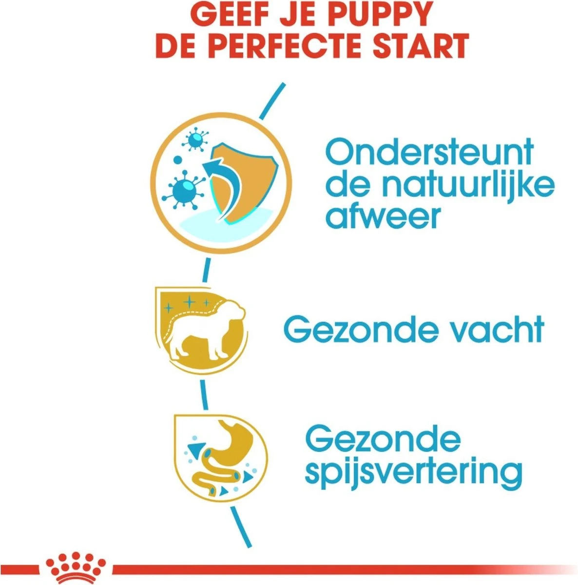 Royal Canin Yorkshire Terrier Junior 1.5 KG 7 Royal Canin Yorkshire Terrier Junior 1.5 KG - Afbeelding 7