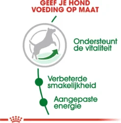 Royal Canin Mini Adult +8 8 KG 23 Royal Canin Mini Adult +8 8 KG -Hondenartikelen Winkel 1186x1200 5