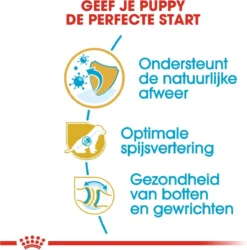 Royal Canin German Shepherd Puppy - Hondenvoer - 12 Kg 20 Royal Canin German Shepherd Puppy - Hondenvoer - 12 Kg -Hondenartikelen Winkel 1186x1200 6