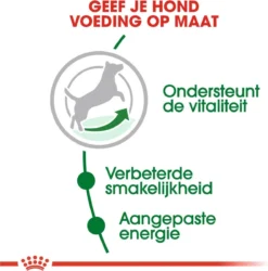 Royal Canin Mini Adult 8+ - Hondenvoer - 800 G -Hondenartikelen Winkel 1186x1200 8