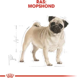 Royal Canin Mopshond/Pug Adult - Hondenvoer - 3 Kg 23 Royal Canin Mopshond/Pug Adult - Hondenvoer - 3 Kg -Hondenartikelen Winkel 1186x1200 9
