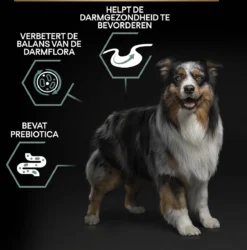 Pro Plan Medium Adult Sensitive Digestion - Honden Droogvoer - Lam - 14 Kg 28 Pro Plan Medium Adult Sensitive Digestion - Honden Droogvoer - Lam - 14 Kg -Hondenartikelen Winkel 1187x1200 2