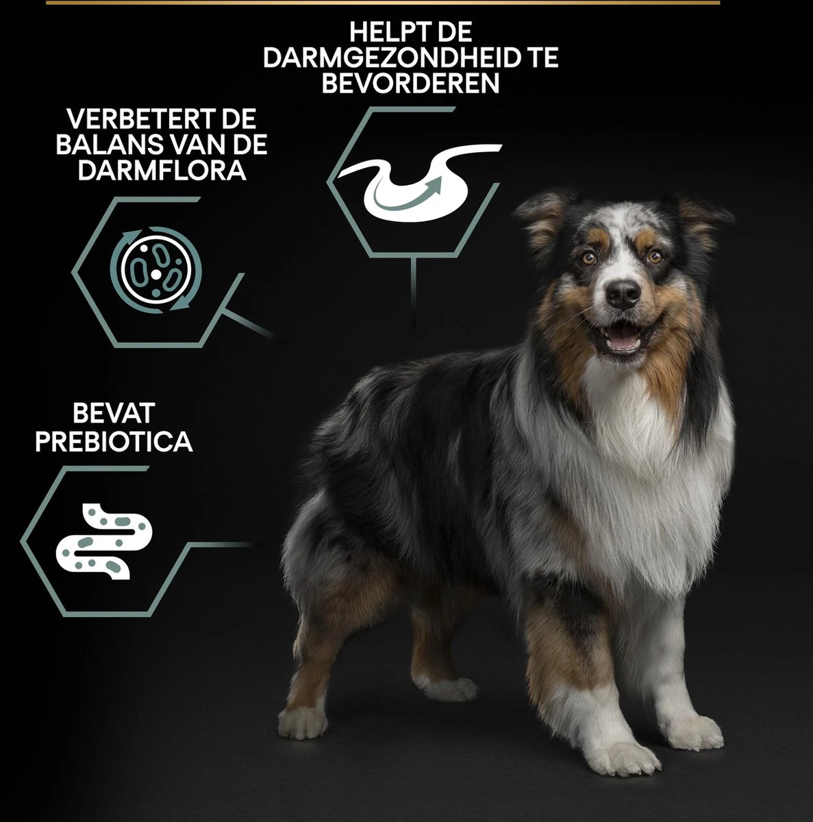 Pro Plan Medium Adult Sensitive Digestion - Honden Droogvoer - Lam - 14 Kg 13 Pro Plan Medium Adult Sensitive Digestion - Honden Droogvoer - Lam - 14 Kg - Afbeelding 13