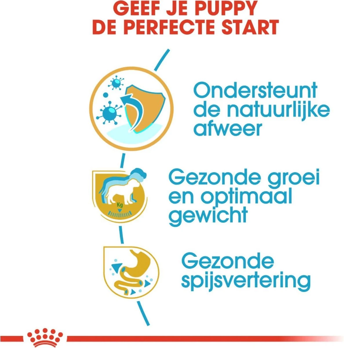 Royal Canin Labrador Retriever Junior 12 KG 5 Royal Canin Labrador Retriever Junior 12 KG - Afbeelding 5