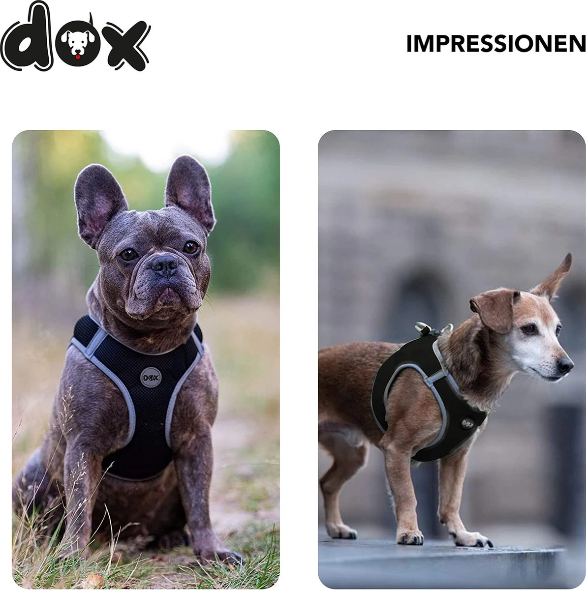 DDOXX Borstharnas Air Mesh, Step-In, Reflecterend | Vele Kleuren | Voor Kleine, Middelgrote En Middelgrote Honden | Hondenharnas Hond Kat Puppy | Kattenharnas Puppy Harnas | Zwart, M 14 DDOXX Borstharnas Air Mesh, Step-In, Reflecterend | Vele Kleuren | Voor Kleine, Middelgrote En Middelgrote Honden | Hondenharnas Hond Kat Puppy | Kattenharnas Puppy Harnas | Zwart, M - Afbeelding 14