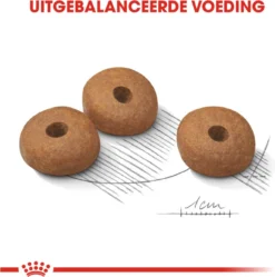 Royal Canin Light Weight Care Medium - Hondenvoer - 12 Kg -Hondenartikelen Winkel 1191x1200 4