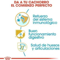 Royal Canin German Shepherd Puppy - Hondenvoer - 12 Kg 23 Royal Canin German Shepherd Puppy - Hondenvoer - 12 Kg -Hondenartikelen Winkel 1197x1200 1