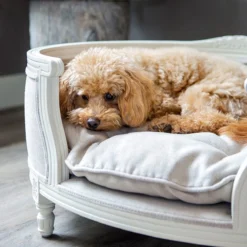 Lord Lou - George Blauw Velvet S - Luxe Hondenmand - Luxe Kattenmand - 49x40x31 -Hondenartikelen Winkel 1198x1200 26