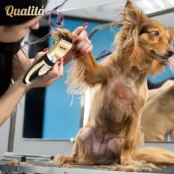 Merkloos Professionele Honden Tondeuse Set - Tondeuse Voor Huisdier Honden En Katten - Hondentrimmer - Hondentondeuse -Hondenartikelen Winkel 1198x1200 40