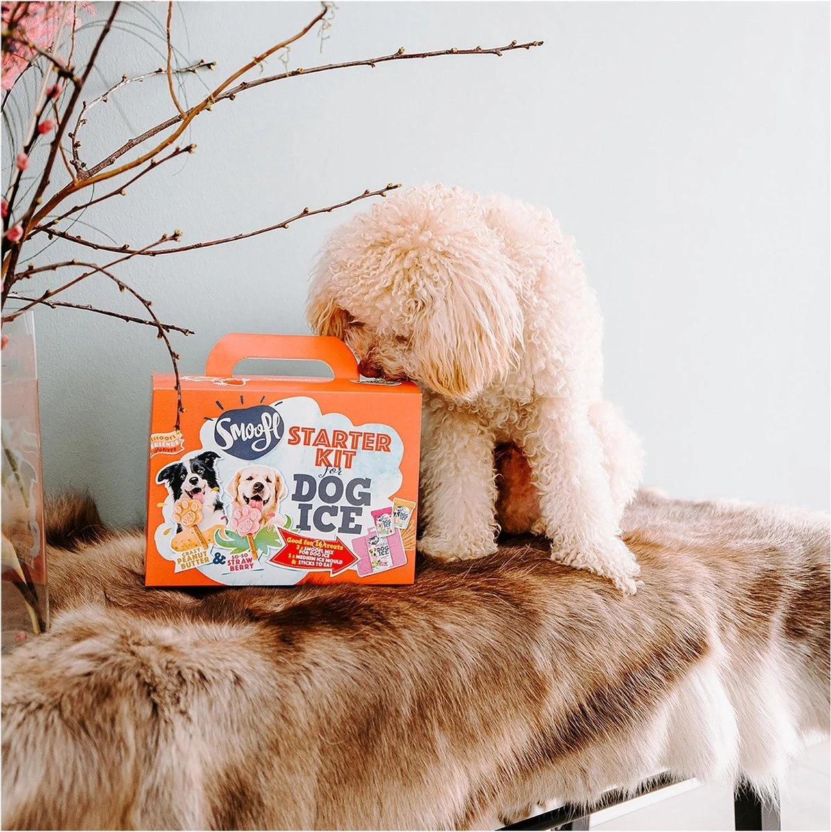 Smoofl Honden Lekkernij - Starter Kit Om Je Eigen Honden Ijs Te Maken, Kit Met 2 Ijsmixen Voor Honden, Pindakaas En Aardbei Smaak, Een Pootvormige Silicone Vorm - Voor 4 Hondenijsjes 3 Smoofl Honden Lekkernij - Starter Kit Om Je Eigen Honden Ijs Te Maken, Kit Met 2 Ijsmixen Voor Honden, Pindakaas En Aardbei Smaak, Een Pootvormige Silicone Vorm - Voor 4 Hondenijsjes - Afbeelding 3