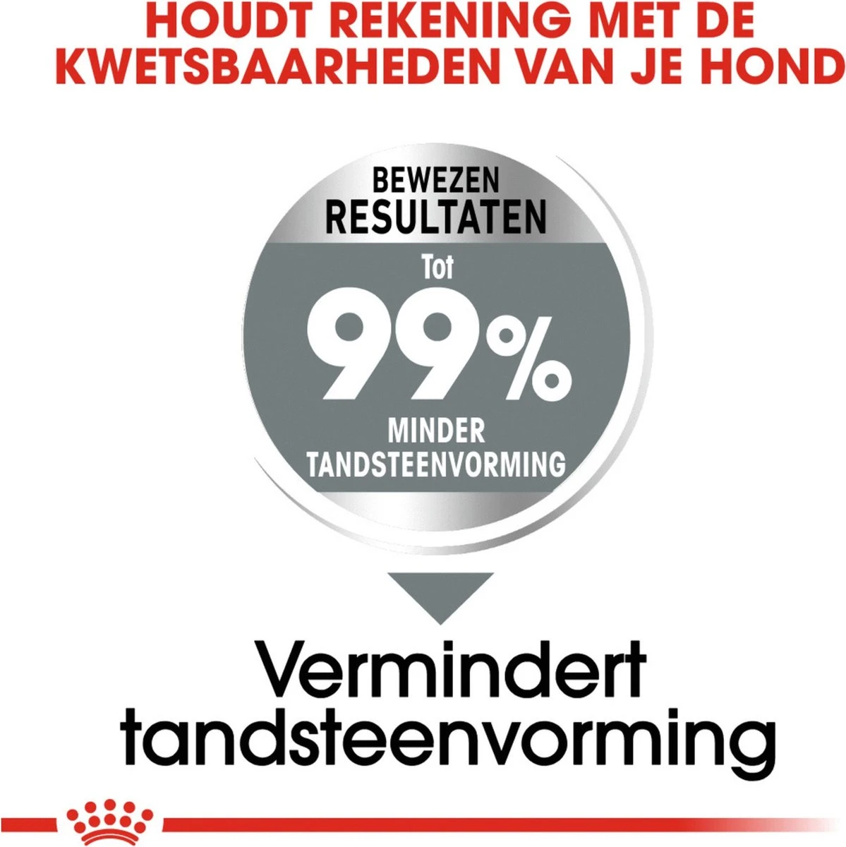 Royal Canin Medium Dental Care - 10 Kg 5 Royal Canin Medium Dental Care - 10 Kg - Afbeelding 5