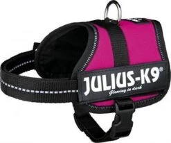 Julius K9 Original Powertuig/Harnas - Fuchsia - M - Maat 0/58-76cm 13 Julius K9 Original Powertuig/Harnas - Fuchsia - M - Maat 0/58-76cm -Hondenartikelen Winkel 1200x1002 4