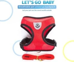 Hondentuig- Hondentuigjes Kleine Hond-hondentuigjes Puppy-Kattenspeeltjes-kat-dog-Kattenharnas-kattentuigje -kattentuigje Met Looplijn-maat M-Rood -Hondenartikelen Winkel 1200x1007 2