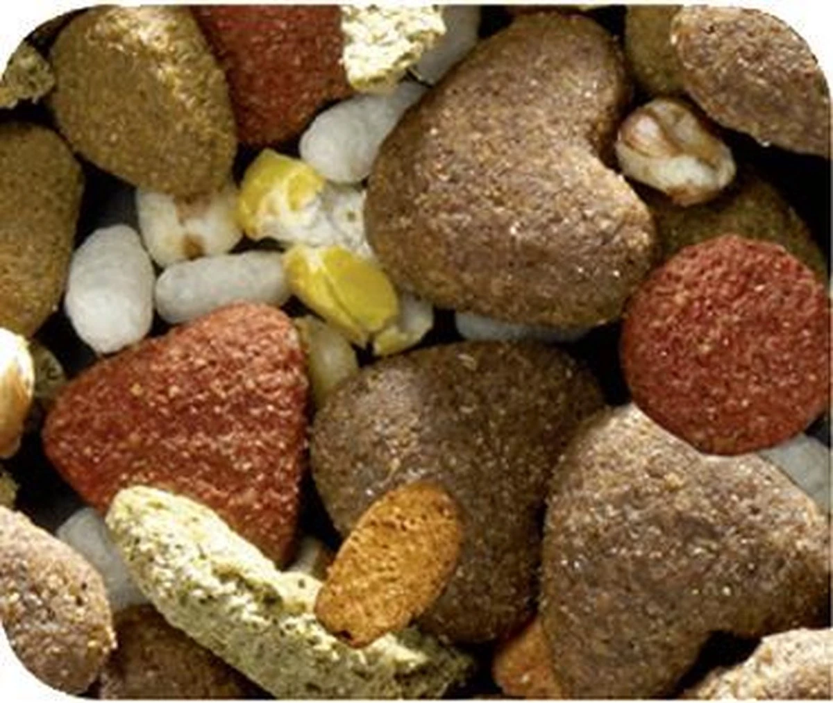 VERSELE-LAGA Happy Life Adult - Chicken Dinner - Hondenvoer - 15 Kg 4 VERSELE-LAGA Happy Life Adult - Chicken Dinner - Hondenvoer - 15 Kg - Afbeelding 4