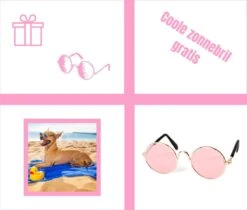 Pepets© – Hondenhanddoek – Honden Handdoek – Microvezel Handdoek – Handdoek Hond – Hondendeken – Droogdoek Hond – Dierendeken – Absorberend – 100*50CM - Beige - GRATIS Zonnebril -Hondenartikelen Winkel 1200x1018 7