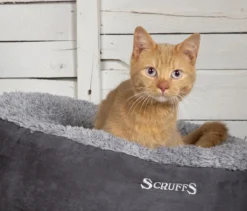 Scruffs Cosy Kattenmand - Comfortabel En Voordelig Met Zachte Binnenvoering En Imitatie Suède Buitenvoering - 3 Kleuren - Ø 45 Cm - Karamel 16 Scruffs Cosy Kattenmand - Comfortabel En Voordelig Met Zachte Binnenvoering En Imitatie Suède Buitenvoering - 3 Kleuren - Ø 45 Cm - Karamel -Hondenartikelen Winkel 1200x1024 1