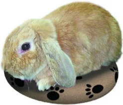 Snugglesafe Warmteschijf Hond/Kat - 24 Cm 6 Snugglesafe Warmteschijf Hond/Kat - 24 Cm -Hondenartikelen Winkel 1200x1026 3