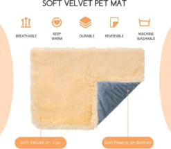 Nobleza Fluffy Benchkussen - Dierenkussen - Hondenkussen - Kattenkussen - Benchmat - Dierenmat - Hondenmat - Kattenmat - Crème - Maat L -Hondenartikelen Winkel 1200x1043 1