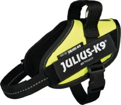 Julius K9 Julius-K9 IDC®Powertuig, XS - Mini-Mini, Neon 15 Julius K9 Julius-K9 IDC®Powertuig, XS - Mini-Mini, Neon -Hondenartikelen Winkel 1200x1043 5