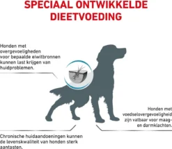 Royal Canin Anallergenic - Hondenvoer - 3 Kg -Hondenartikelen Winkel 1200x1045 1