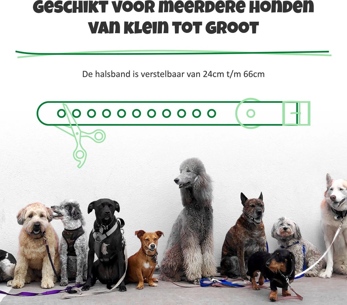 Anti Blafband Met Afstandsbediening - Blafband Voor Honden - Anti Blaf Apparaat Zonder Schok - Twee In Een Trainingshalsband 8 Anti Blafband Met Afstandsbediening - Blafband Voor Honden - Anti Blaf Apparaat Zonder Schok - Twee In Een Trainingshalsband - Afbeelding 8