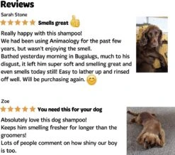 Bugalugs - Hondenshampoo - One In A Million - Alle Vachttypes - Fles Met Pompje - Vegan - 500 Ml 20 Bugalugs - Hondenshampoo - One In A Million - Alle Vachttypes - Fles Met Pompje - Vegan - 500 Ml -Hondenartikelen Winkel 1200x1061 4