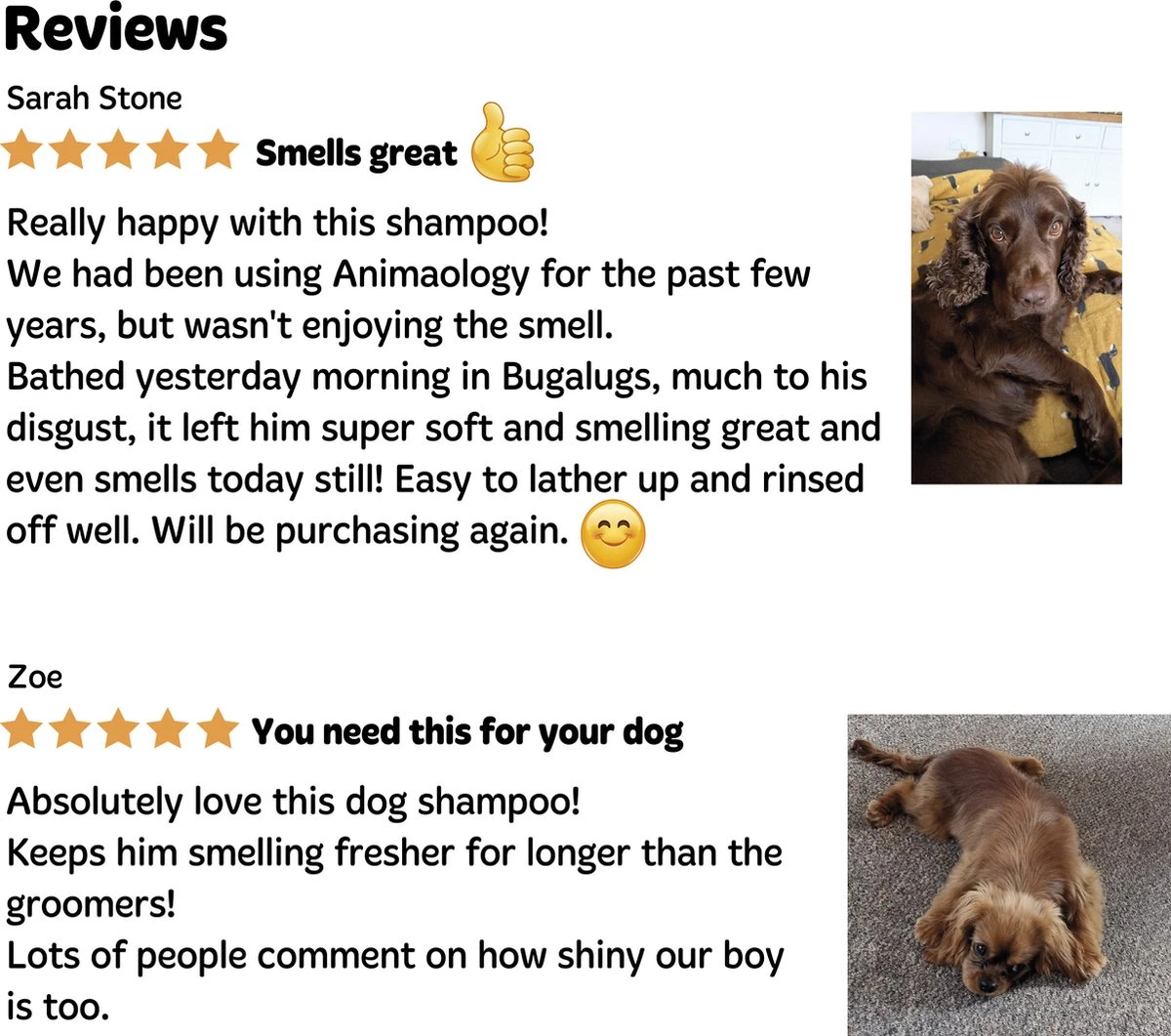 Bugalugs - Hondenshampoo - One In A Million - Alle Vachttypes - Fles Met Pompje - Vegan - 500 Ml 9 Bugalugs - Hondenshampoo - One In A Million - Alle Vachttypes - Fles Met Pompje - Vegan - 500 Ml - Afbeelding 9