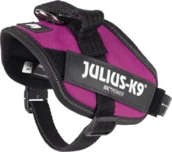Julius K9 Julius-K9 IDC®Powertuig, XS - Mini-Mini, Donkerroze -Hondenartikelen Winkel 1200x1062 7