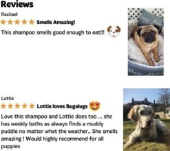 Bugalugs - Hondenshampoo - One In A Million - Alle Vachttypes - Fles Met Pompje - Vegan - 500 Ml 17 Bugalugs - Hondenshampoo - One In A Million - Alle Vachttypes - Fles Met Pompje - Vegan - 500 Ml -Hondenartikelen Winkel 1200x1066 19