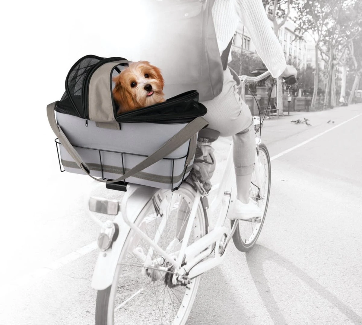 Zoofari Fiets Hondenmand - Max. Belasting: 6 Kg - Met Geïntegreerd Signaaltoon - Ca. 47 X 29 X 45 Cm (l X B X H) - Stevig Metalen Frame Voor Montage Op De Bagagedrager - Met Zijdelingse Gaasafdekkingen Voor Een Goede Luchtcirculatie - Uitneembare Tas