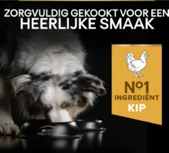 Pro Plan Medium Adult Everyay Nutrition - Honden Droogvoer - Kip - 14 Kg 23 Pro Plan Medium Adult Everyay Nutrition - Honden Droogvoer - Kip - 14 Kg -Hondenartikelen Winkel 1200x1087 1