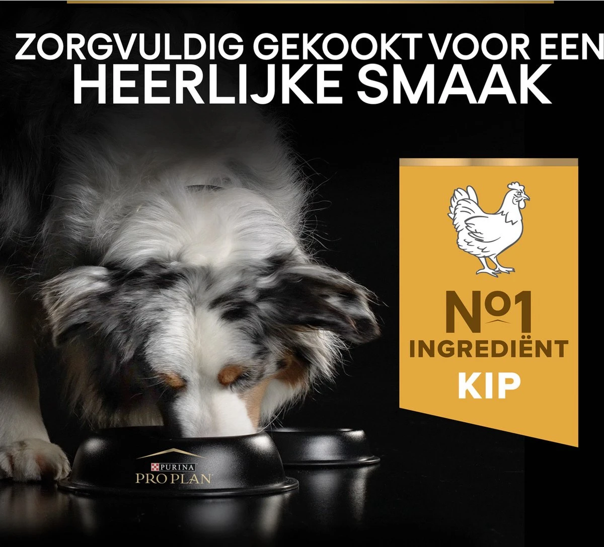 Pro Plan Medium Adult Everyay Nutrition - Honden Droogvoer - Kip - 14 Kg 10 Pro Plan Medium Adult Everyay Nutrition - Honden Droogvoer - Kip - 14 Kg - Afbeelding 10