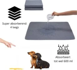 Sharon B - Puppy Training Pad - Plasmat - Beige Met Botjesprint - 80x90 Cm - Hondentoilet - Herbruikbaar - Wasbaar -Hondenartikelen Winkel 1200x1087 4