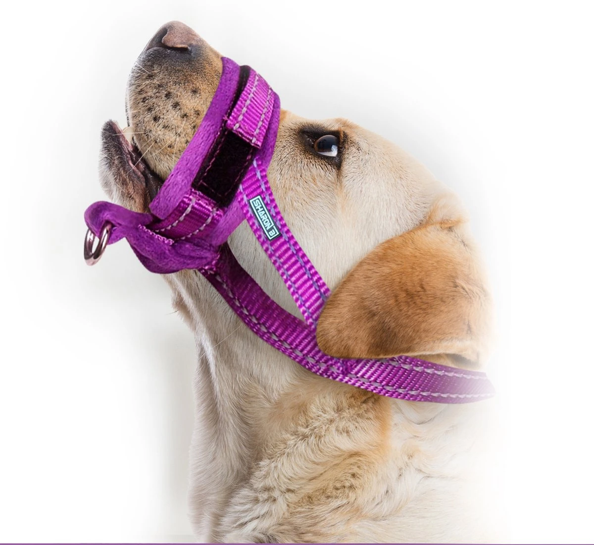 Sharon B Muilkorf Paars Maat M - Fleece - Wasbaar - Reflecterend 1 Sharon B Muilkorf Paars Maat M - Fleece - Wasbaar - Reflecterend