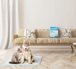 Nobleza 48DHD - Puppy Training Pads - 60 X 40 Cm - Zindelijkheidstraining - 50 Stuks -Hondenartikelen Winkel 1200x1105 6