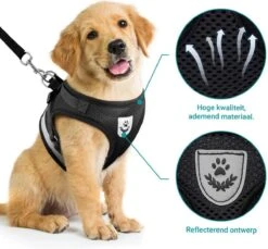 Hondentuig, Hondenharnas Met Hondenriem – Reflecterend - Zwart – Maat M (borst 35-40 Cm) -Hondenartikelen Winkel 1200x1113 8