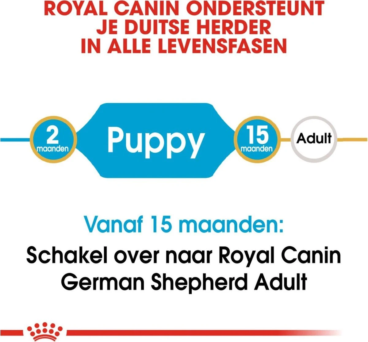 Royal Canin German Shepherd Puppy - Hondenvoer - 12 Kg 12 Royal Canin German Shepherd Puppy - Hondenvoer - 12 Kg - Afbeelding 12