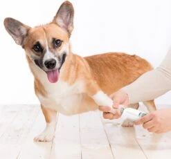 Auronic Elektrische Nagelvijl - Voor Dieren - Oplaadbaar - Draadloos - Diamant Vijlkop - Hond/Katten - Wit 16 Auronic Elektrische Nagelvijl - Voor Dieren - Oplaadbaar - Draadloos - Diamant Vijlkop - Hond/Katten - Wit -Hondenartikelen Winkel 1200x1115 7