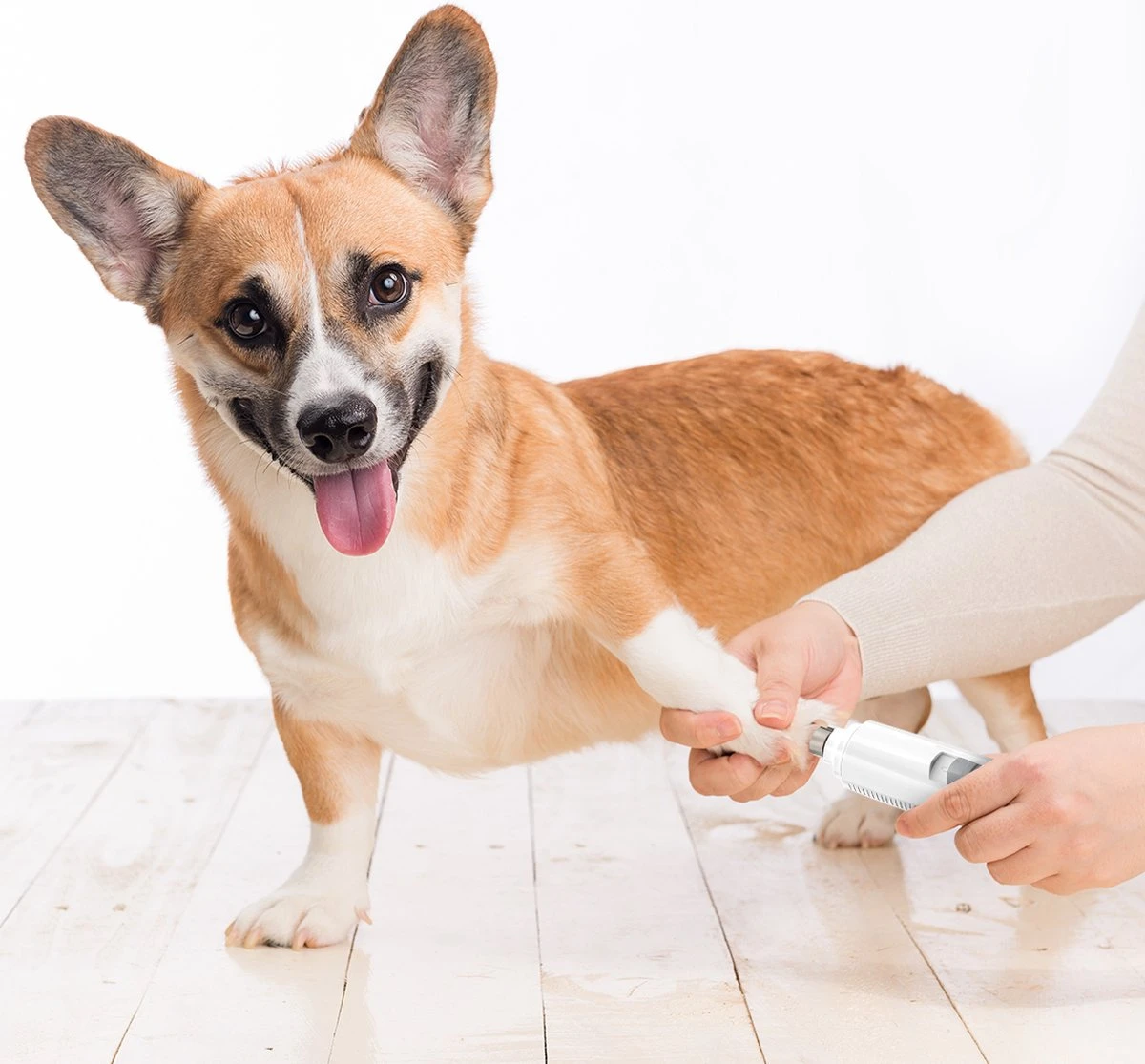 Auronic Elektrische Nagelvijl - Voor Dieren - Oplaadbaar - Draadloos - Diamant Vijlkop - Hond/Katten - Wit 7 Auronic Elektrische Nagelvijl - Voor Dieren - Oplaadbaar - Draadloos - Diamant Vijlkop - Hond/Katten - Wit - Afbeelding 7
