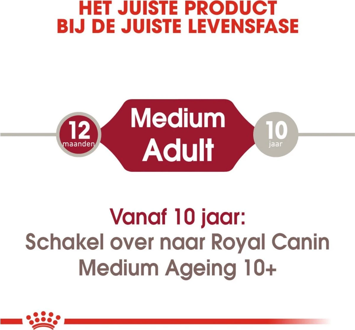 Royal Canin Shn Medium Adult Pouch - Hondenvoer - 10 X 140 G 2 Royal Canin Shn Medium Adult Pouch - Hondenvoer - 10 X 140 G - Afbeelding 2
