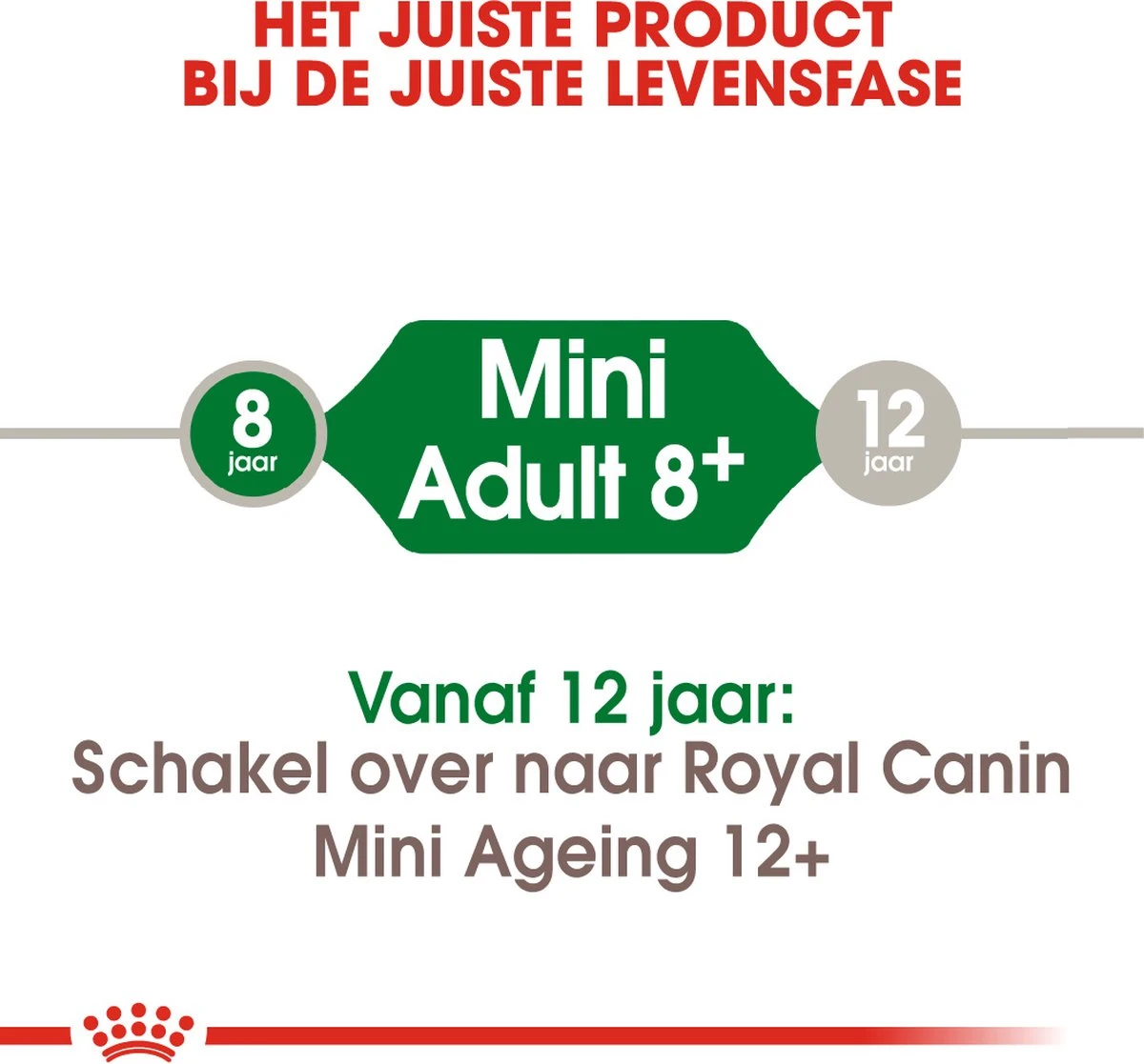 Royal Canin Mini Adult +8 8 KG 14 Royal Canin Mini Adult +8 8 KG - Afbeelding 14