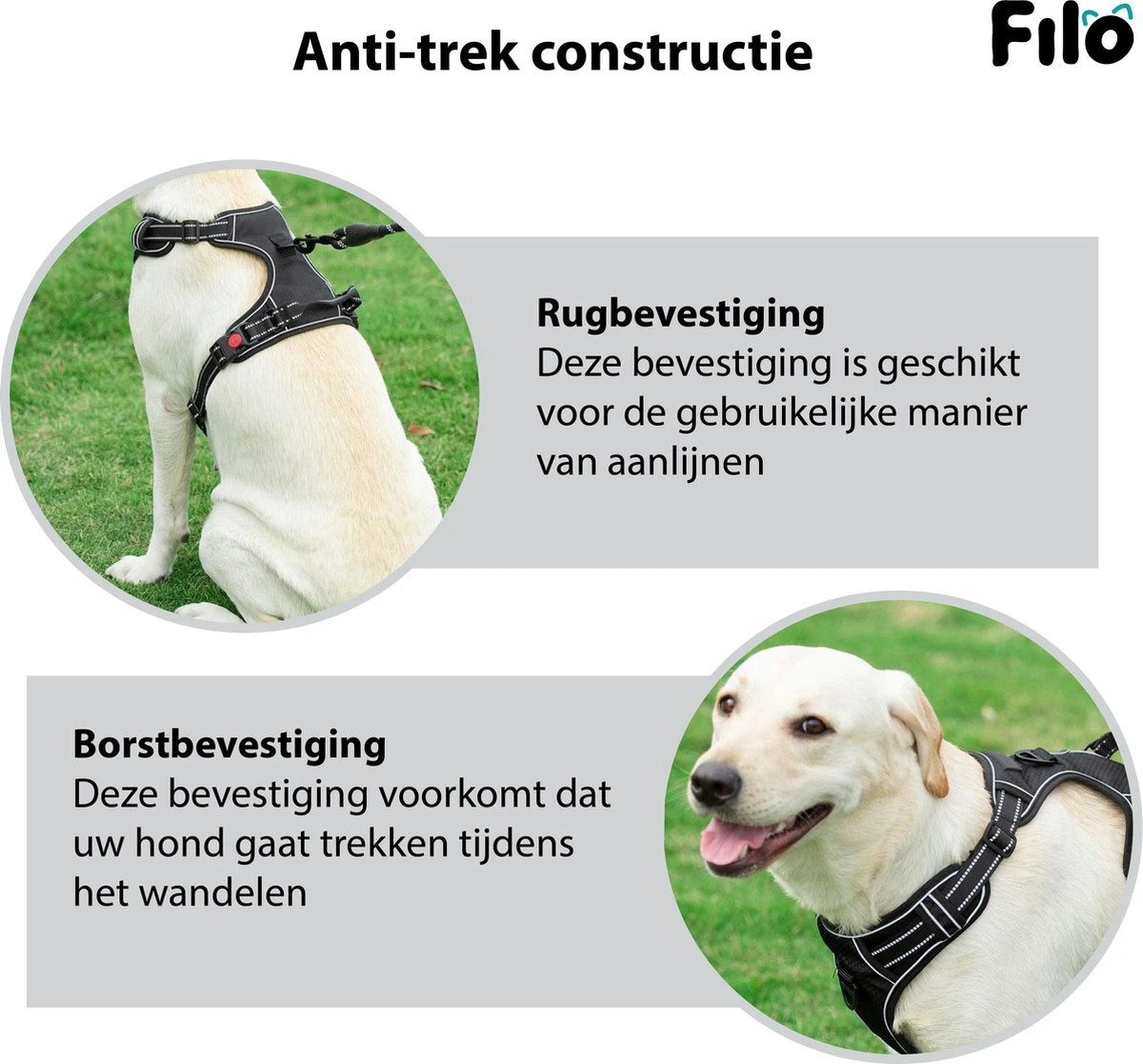 Filo Anti Trek Hondentuig S Met Hondenriem - Y Tuig Hond Verstelbaar - Hondentuigje Kleine Hond + Hondenlijn - Easy Walk Hondenharnas - Hondentuigjes - Leiband - Honden Tuigje - Puppy - Tuig - Hond 6 Filo Anti Trek Hondentuig S Met Hondenriem - Y Tuig Hond Verstelbaar - Hondentuigje Kleine Hond + Hondenlijn - Easy Walk Hondenharnas - Hondentuigjes - Leiband - Honden Tuigje - Puppy - Tuig - Hond - Afbeelding 6
