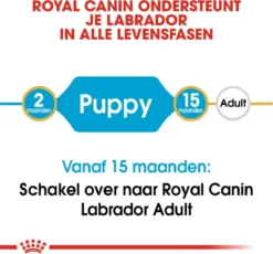 Royal Canin Labrador Retriever Junior 12 KG 30 Royal Canin Labrador Retriever Junior 12 KG -Hondenartikelen Winkel 1200x1117 2