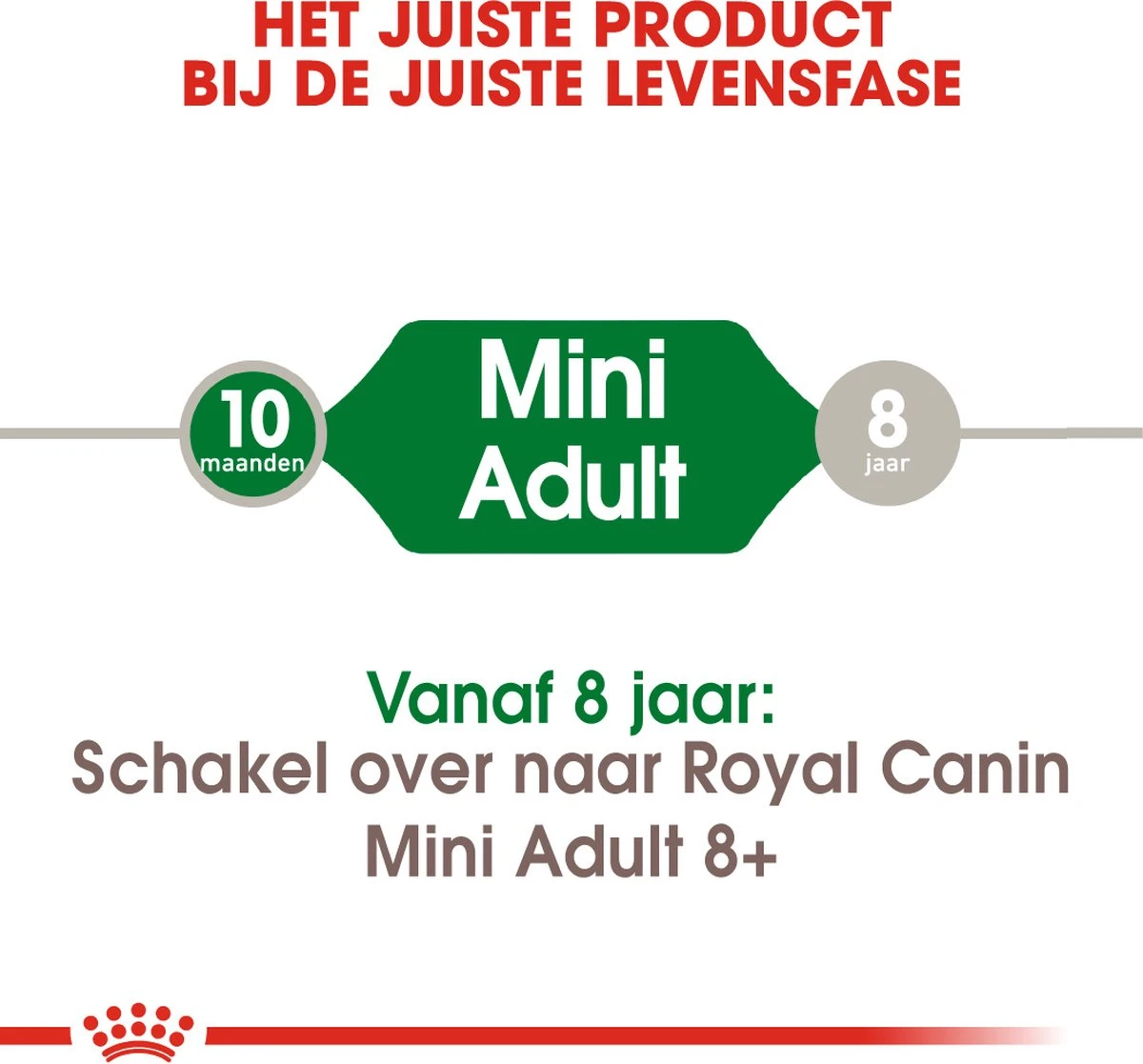 Royal Canin Mini Adult 8 KG 4 Royal Canin Mini Adult 8 KG - Afbeelding 4