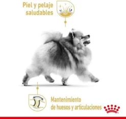 Royal Canin Pomeriaan Adult - Hondenvoer - 3 Kg -Hondenartikelen Winkel 1200x1125 7