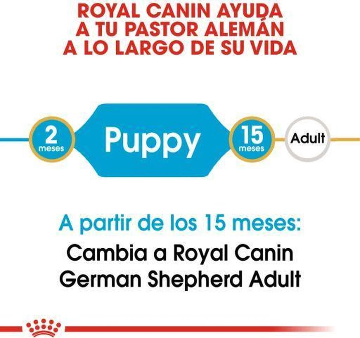Royal Canin German Shepherd Puppy - Hondenvoer - 12 Kg 4 Royal Canin German Shepherd Puppy - Hondenvoer - 12 Kg - Afbeelding 4