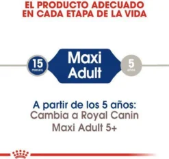 Royal Canin Maxi Adult 5+ Jaar Oud - Hondenvoer - 15 Kg -Hondenartikelen Winkel 1200x1127 4