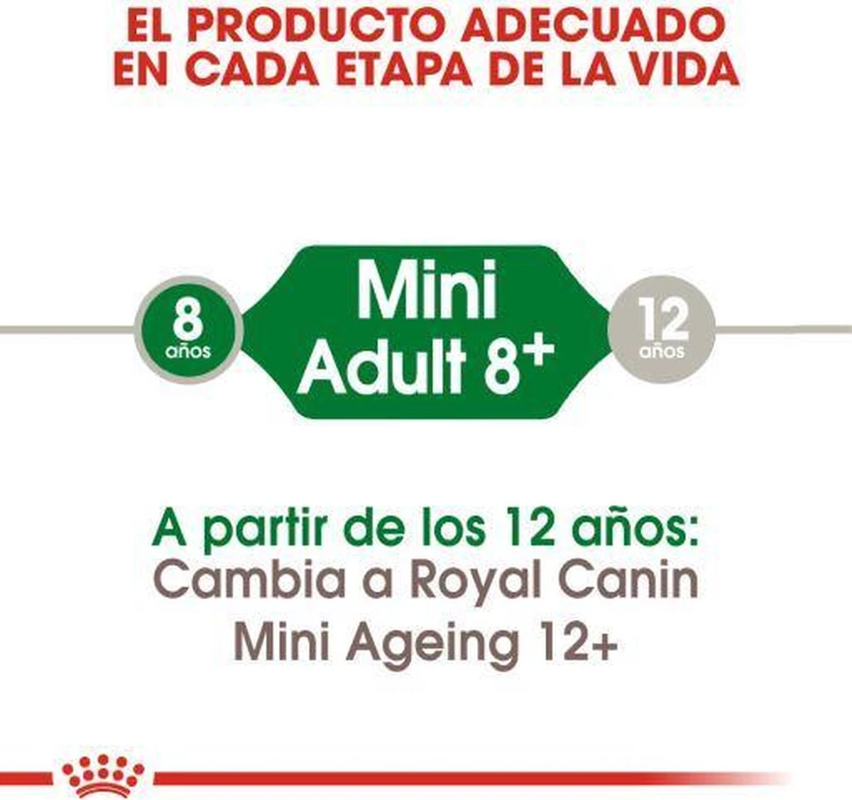 Royal Canin Mini Adult +8 8 KG 19 Royal Canin Mini Adult +8 8 KG - Afbeelding 19