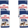 Royal Canin Shn Maxi Adult Pouch - Hondenvoer - 4 X 10 X 140 G
